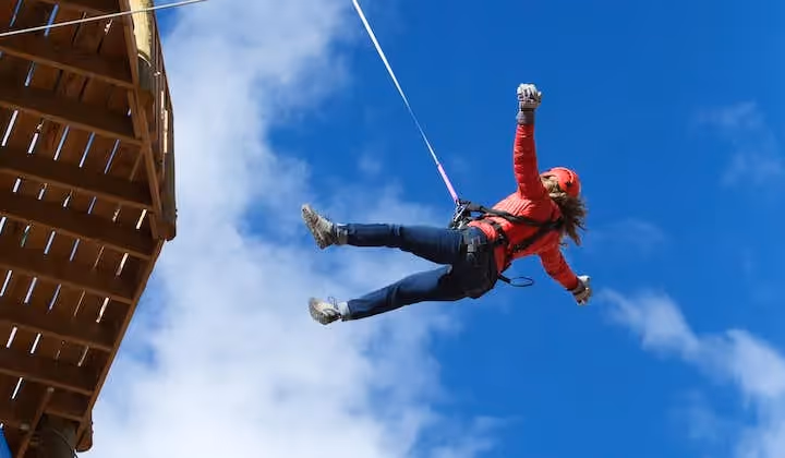 Conventional Ride & Free Fall