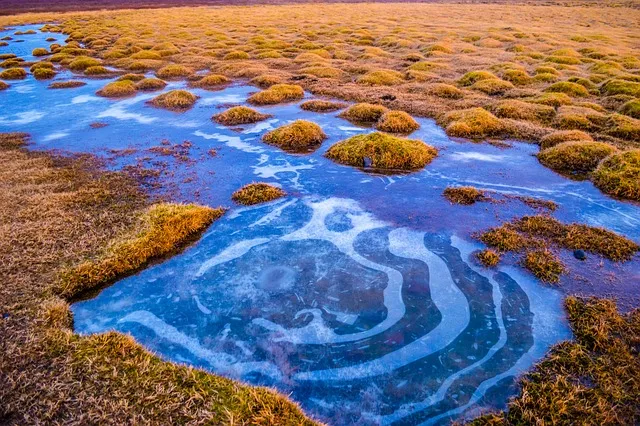 iceland, golden circle, frozen water