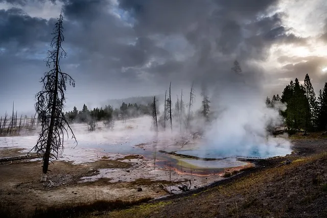 geyser, yellowstone, wyoming