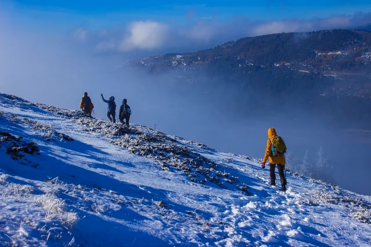 Go Glacier Hiking and Ice Caving