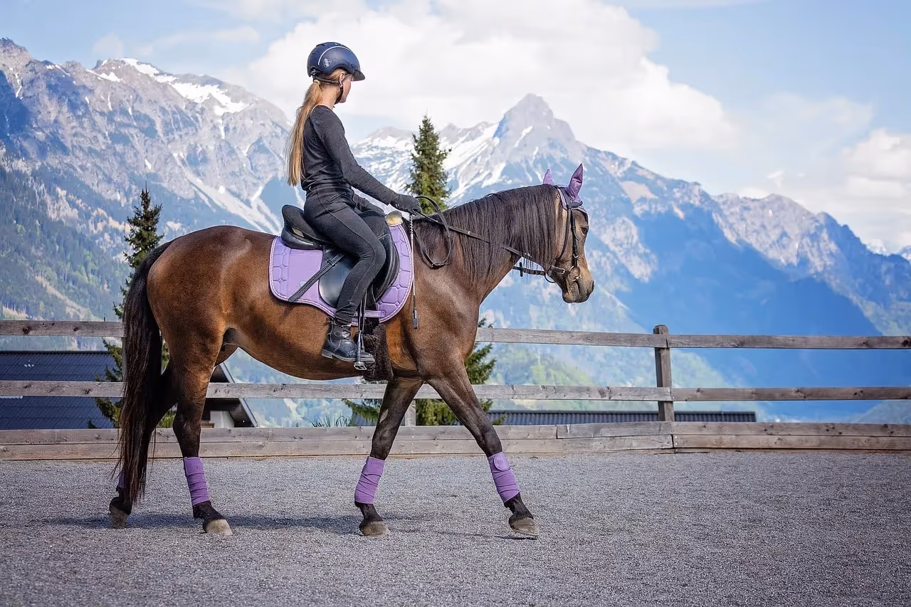 Horseback Riding