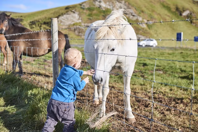 Exploring the Golden Circle with Kids