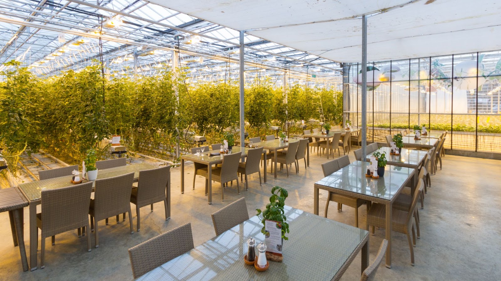 Friðheimar Greenhouse