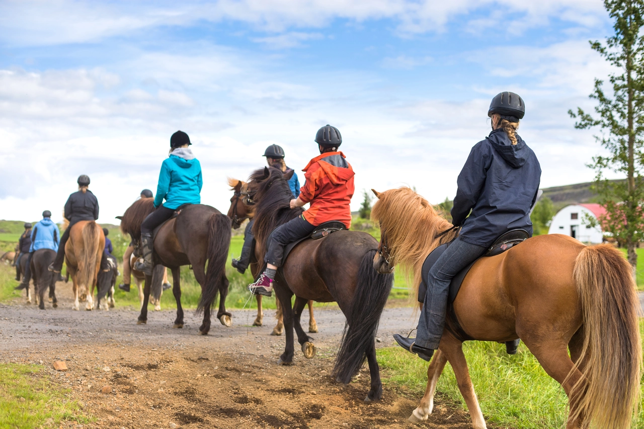 Safety Tips in Horseback Riding Journey