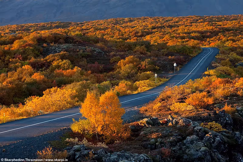 Thingvellir National Park Through the Seasons: When and What to Expect - Iceland