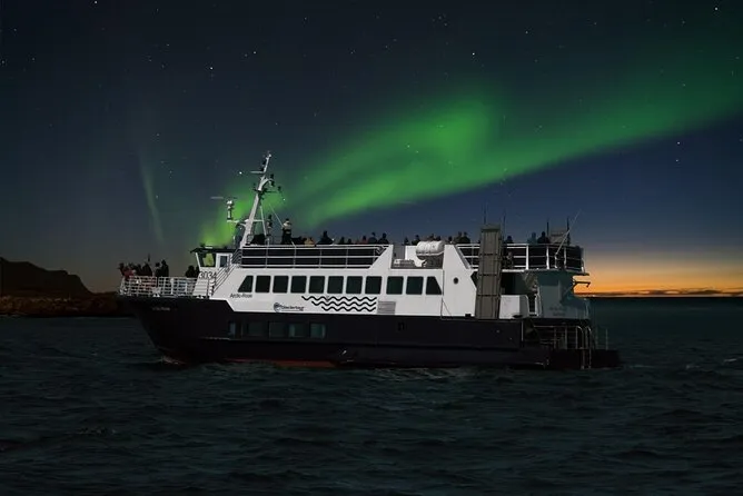 Northern Lights Boat Tour - photo 3