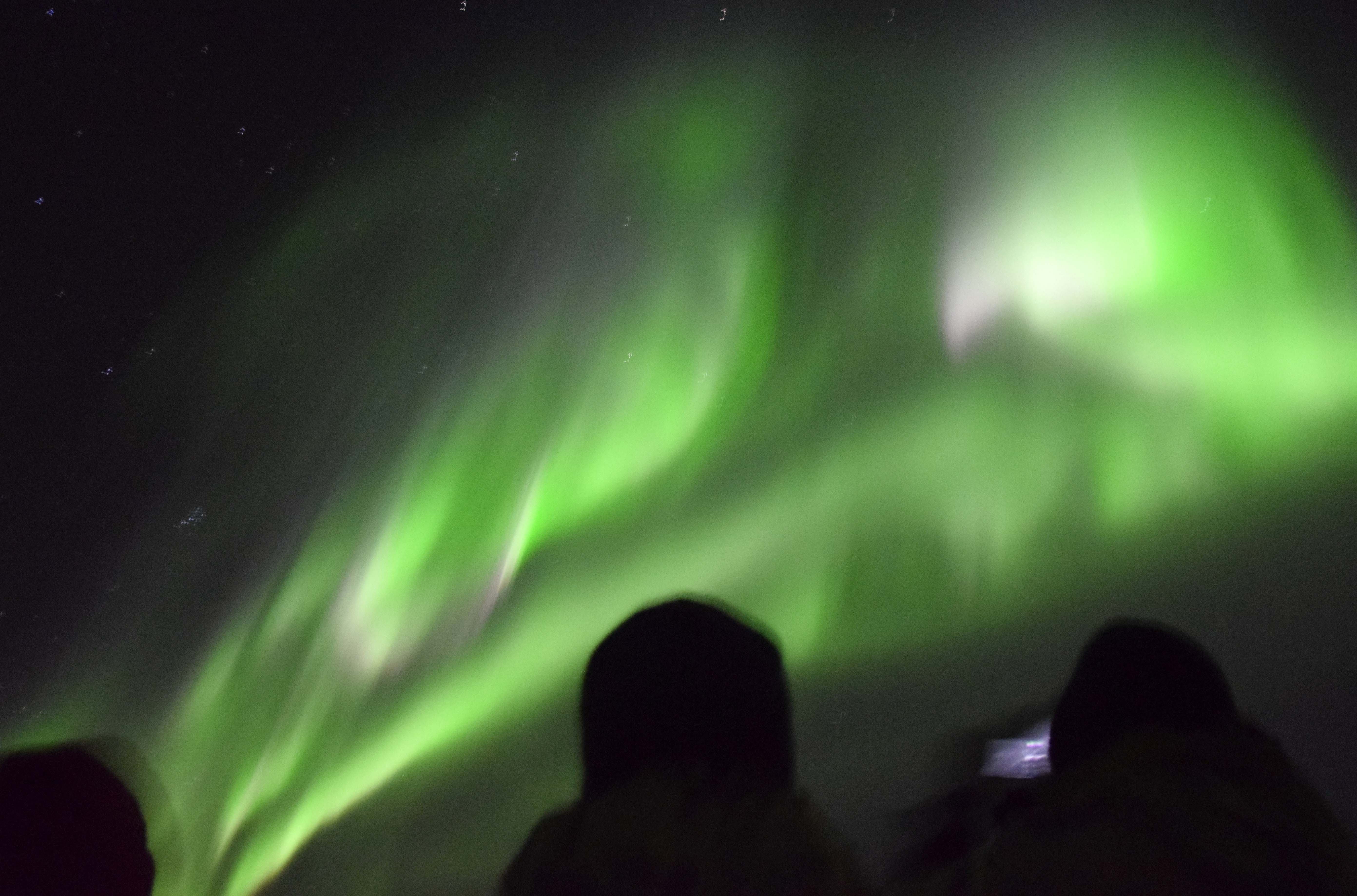 Northern Lights boat tour Reykjavik - photo 2
