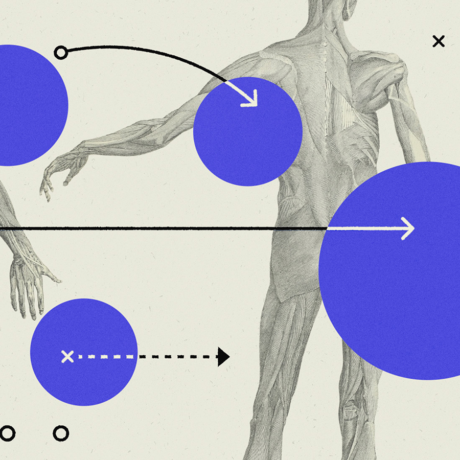 Illustration of two anatomical human figures (back view) with muscles visible, overlaid with abstract purple circles and directional arrows, suggesting movement, data flow, or biological processes across the body.