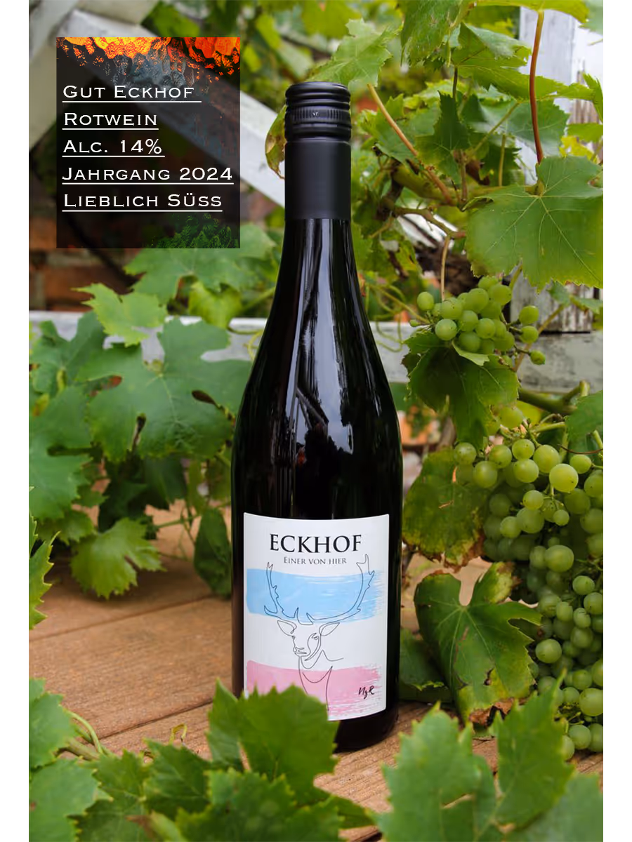 Eine Flasche Eckhof Rotwein mit Etikett und Weintrauben sowie grünen Blättern im Hintergrund.