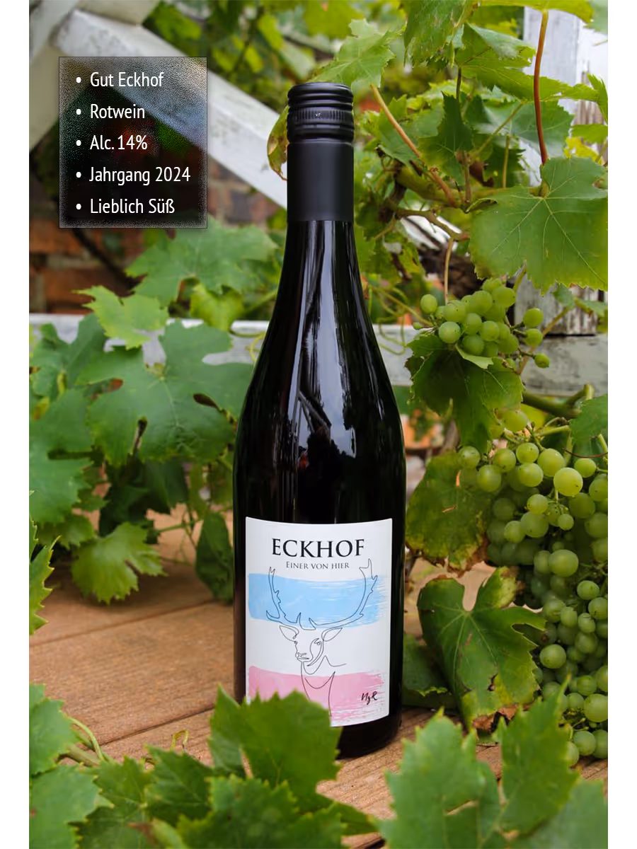 Eine Flasche Gut Eckhof Rotwein Jahrgang 2024 mit 14% Alkoholgehalt und lieblich süßem Geschmack, umgeben von grünen Weinblättern und Trauben.