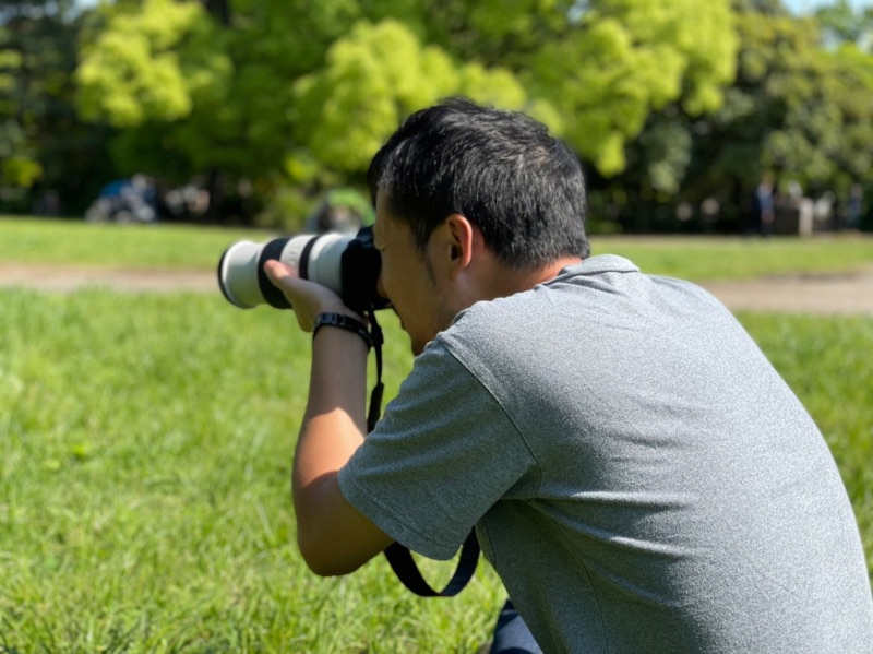 Colorante Photo Products