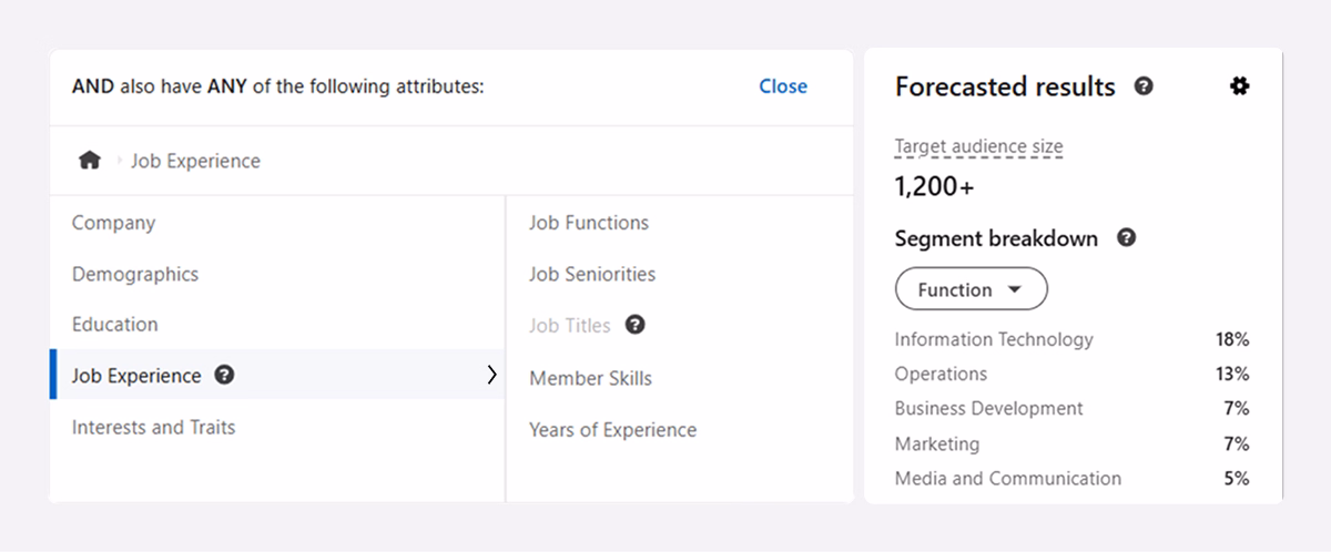 LinkedIn audience filtering by job experience.