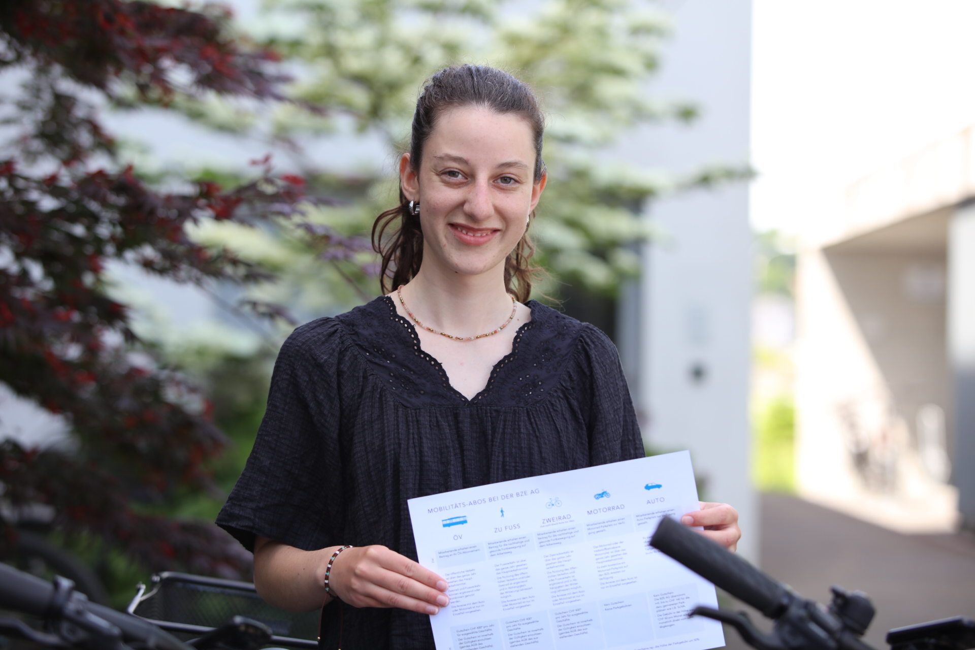 Betagtenzentren Emmen AG, BZE AG, Emmen, Pflegeheim, Demenzzentrum, Albert Koechlin Stiftung, Parkplatzbewirtschaftung, Mattli