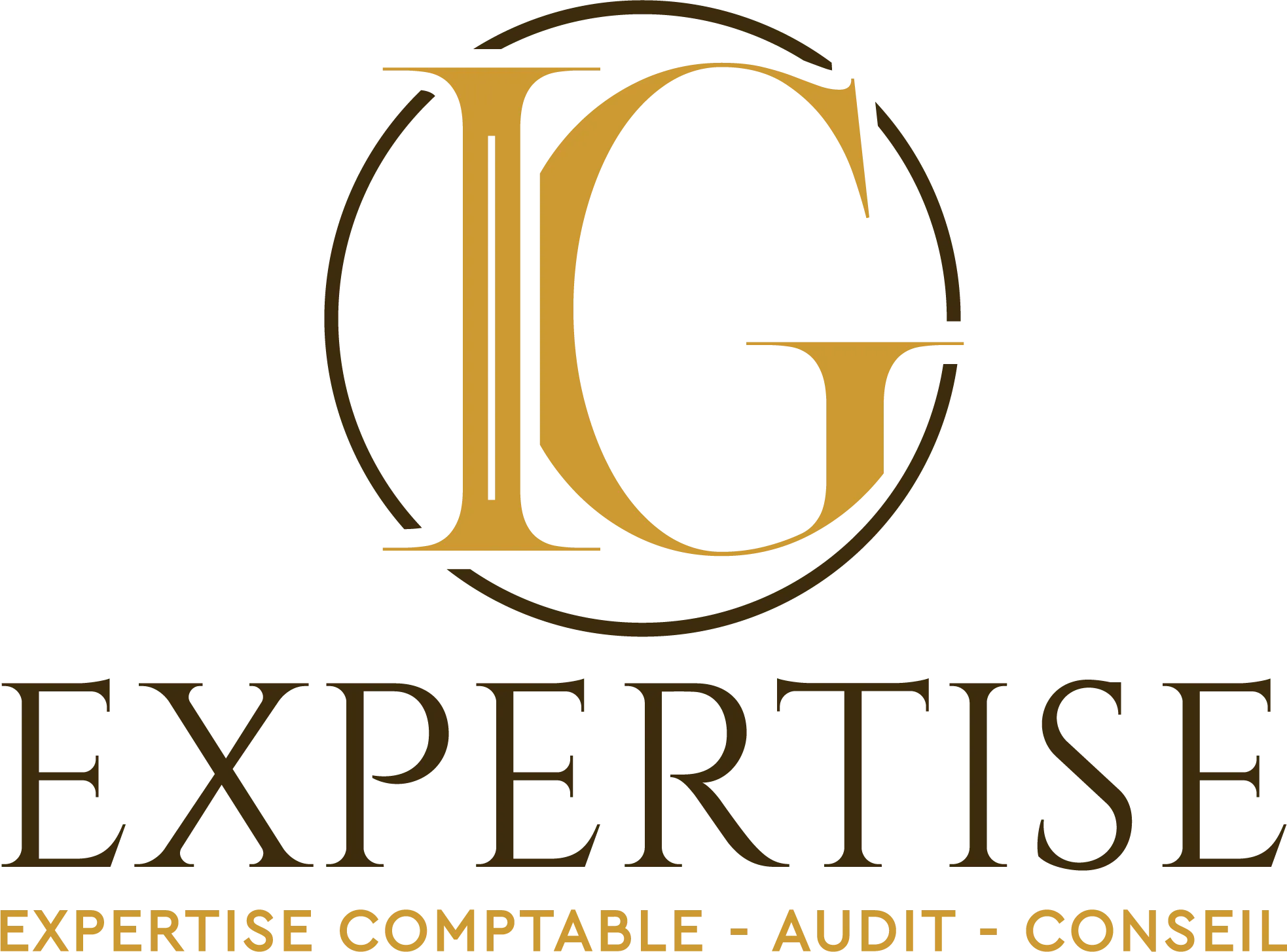 agence de communication Amy design: logo du site web IG Expertise