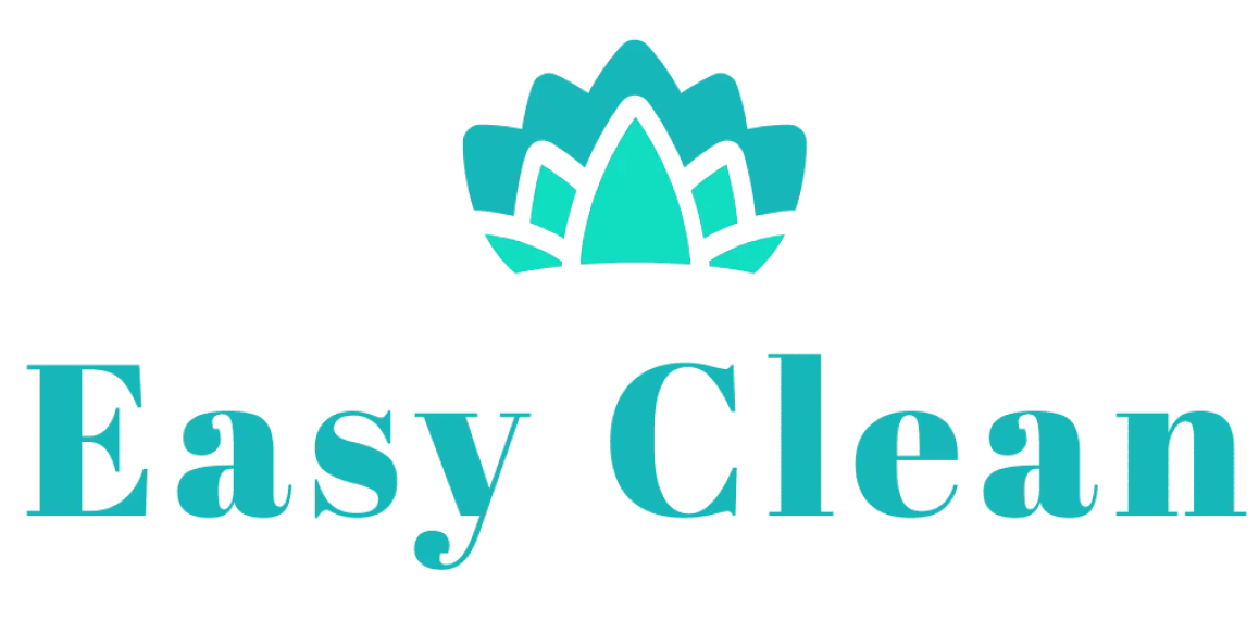 agence de communication Amy design: logo du site web East Clean