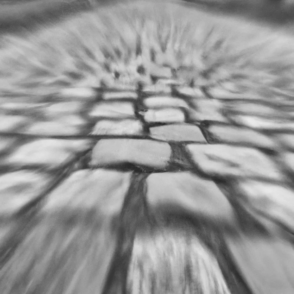 a close-up of a stone walking path