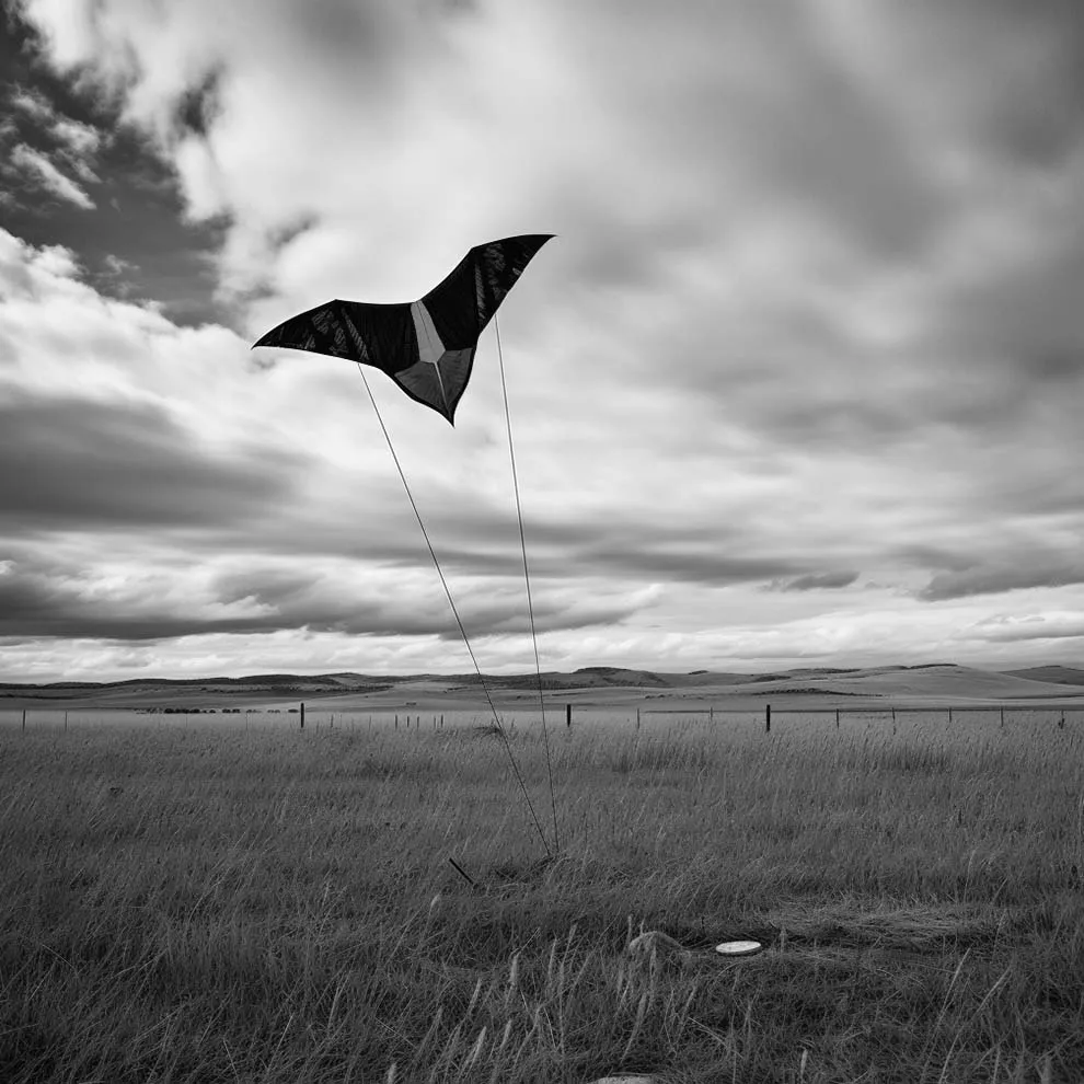 a kite soaring above an empty landscape
