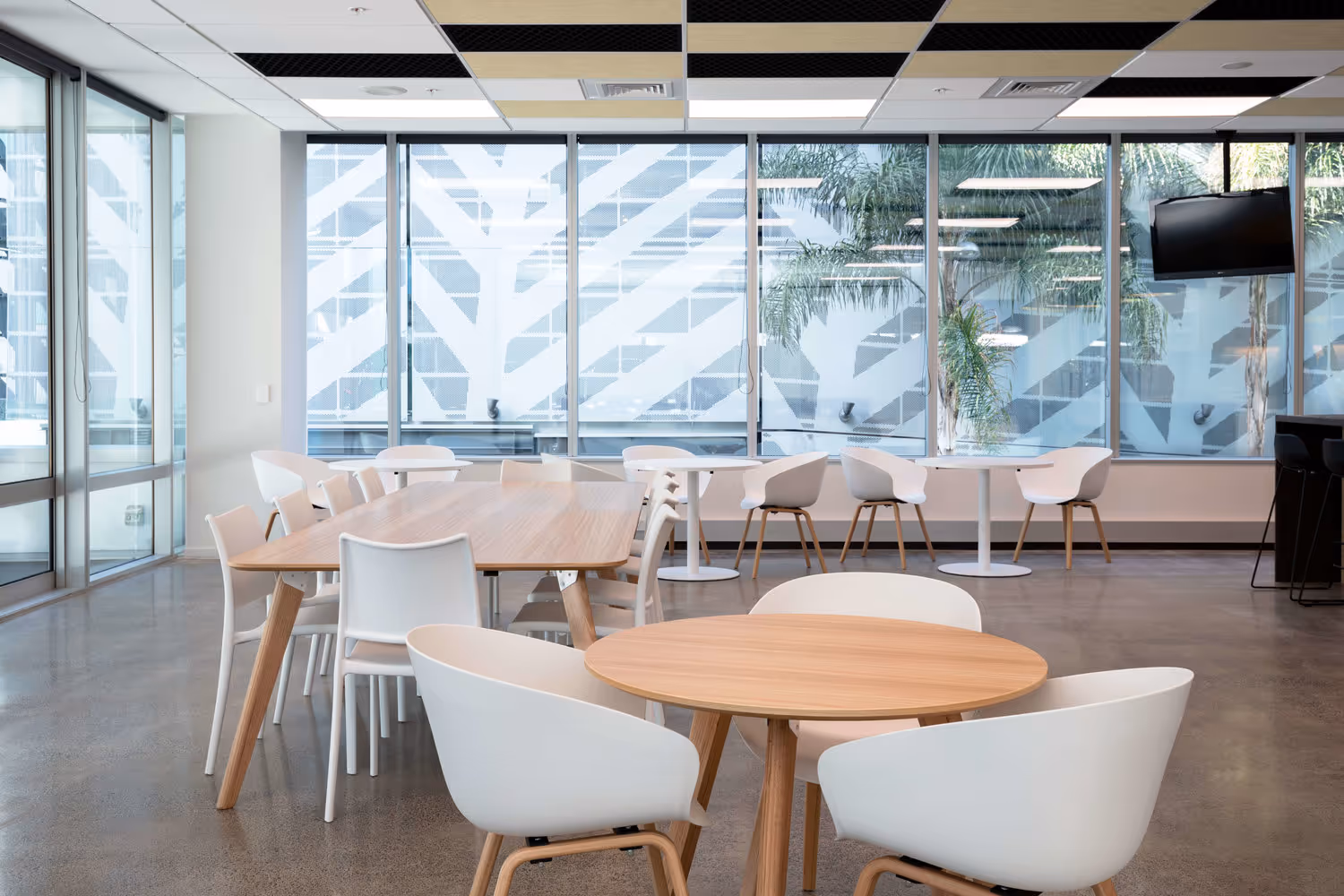 Custom Fleet Large Windows in Officejpg