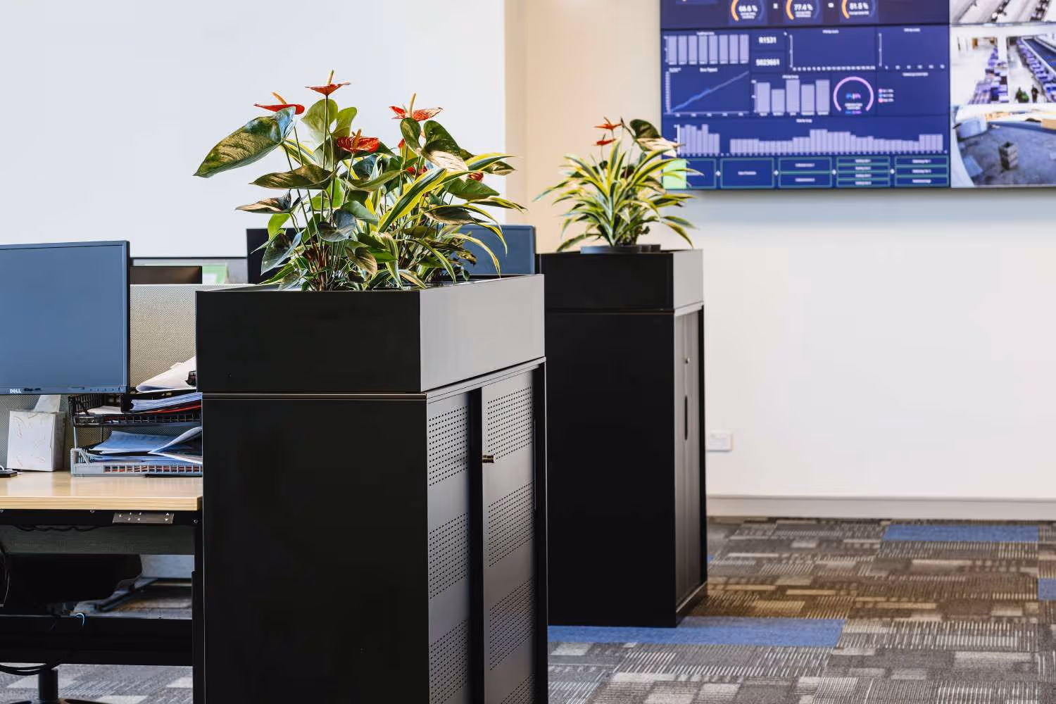black metal office storage units with plants on top