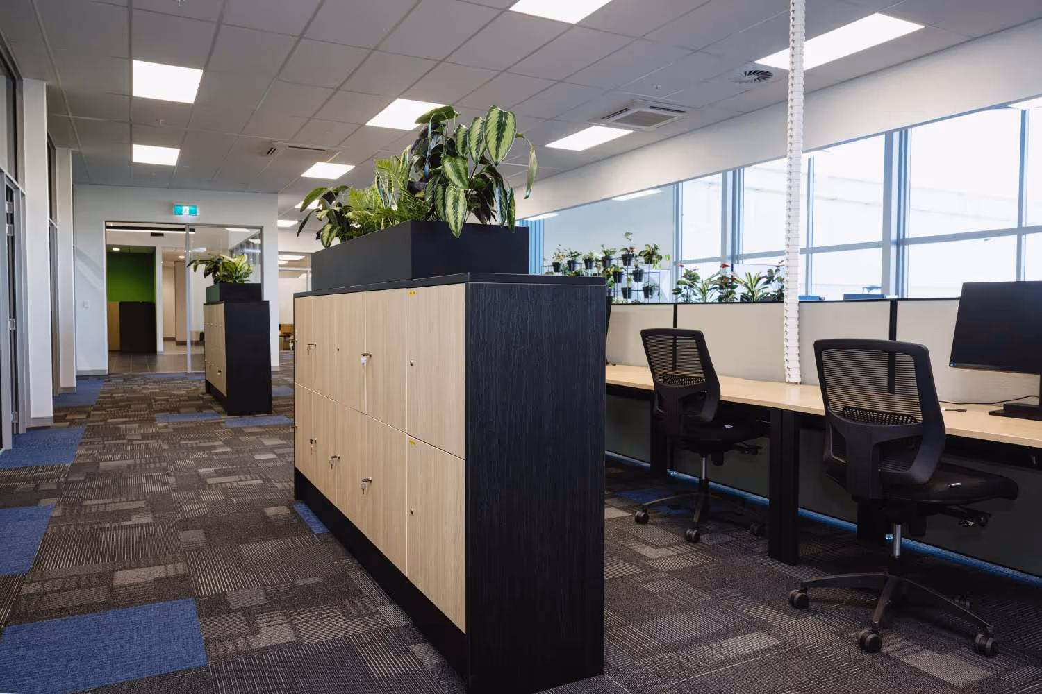 black and wooden lockers with plants on top