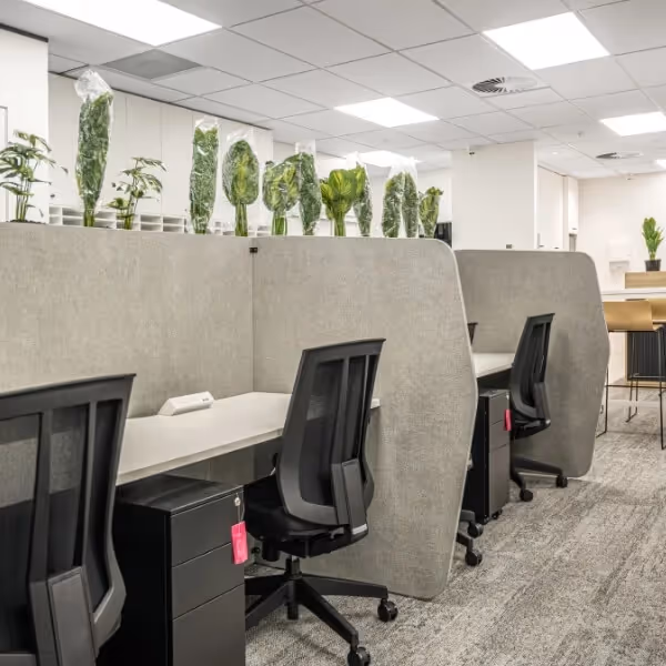 System 20 Full to Floor Screen