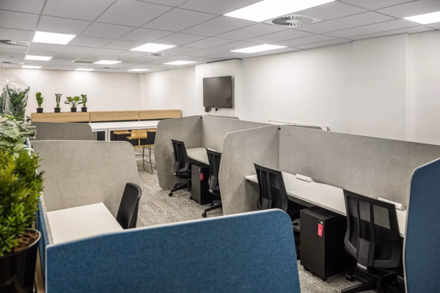 tall screens and office desks