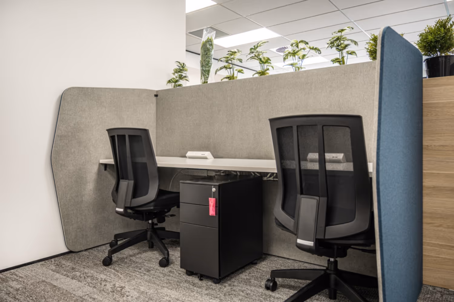 close up shared office desk