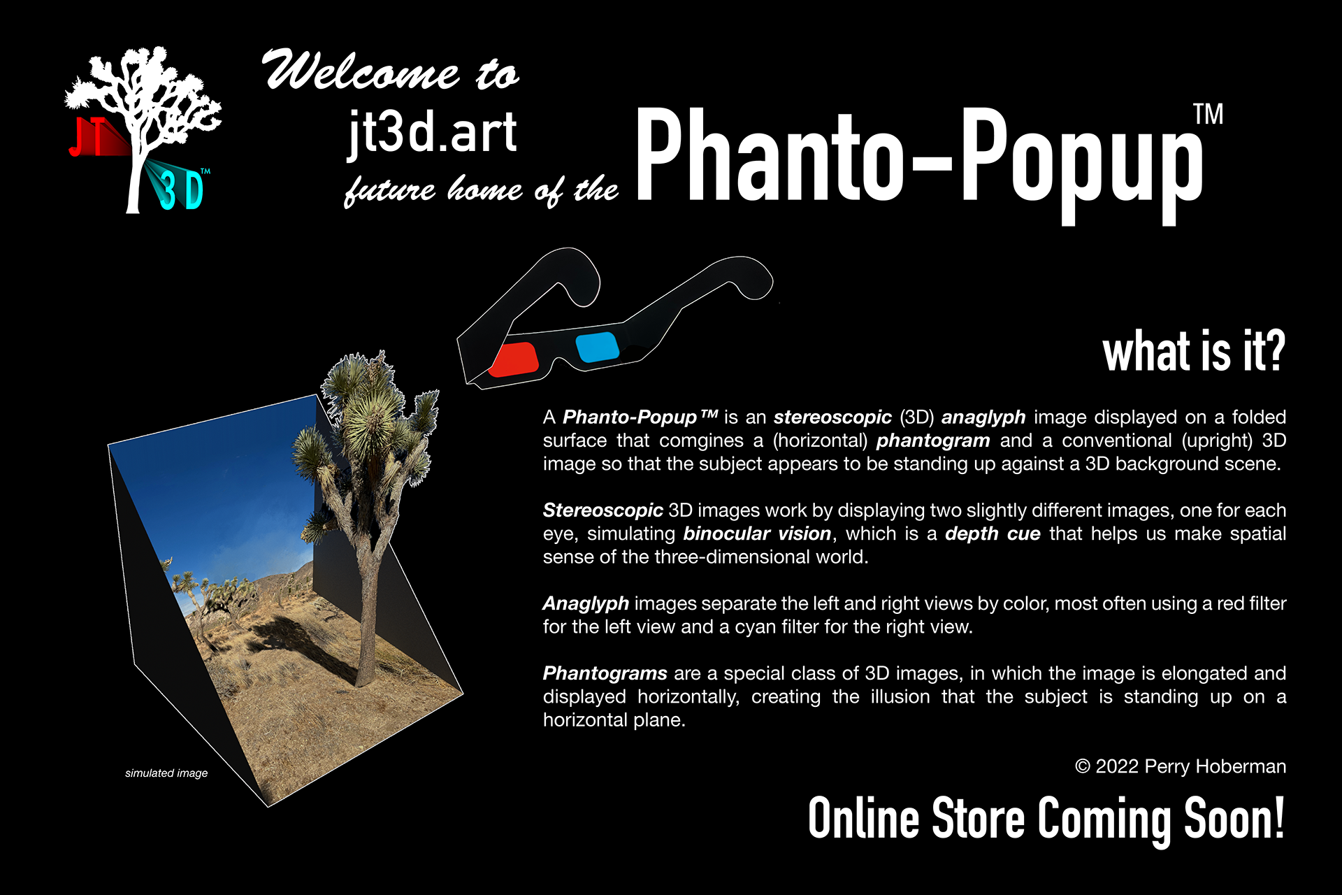 Welcome to jt3d.art, the future home of the Phanto-Popup. Online Store Coming Soon!