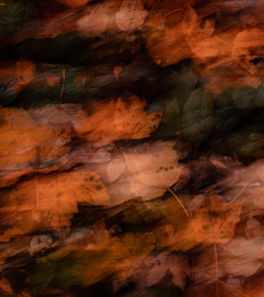 Blurred close-up of scattered autumn leaves in shades of orange and brown.
