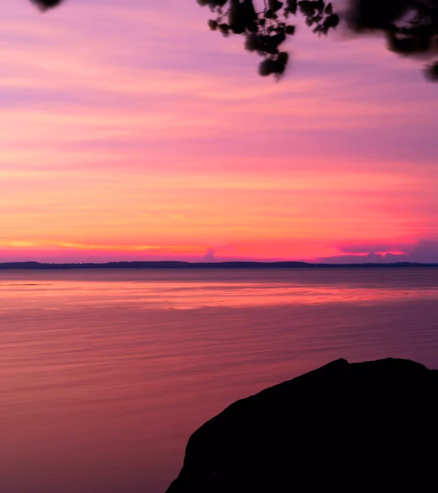 Calm water at sunset with pink and purple sky and silhouetted rocks and tree branches.