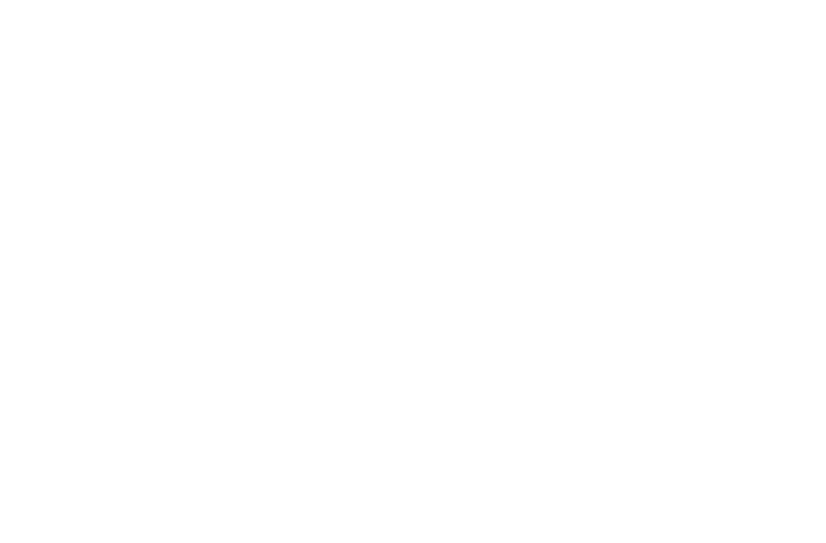 DMZ Financials investment – venture capital portfolio of Dimitriy Mishin