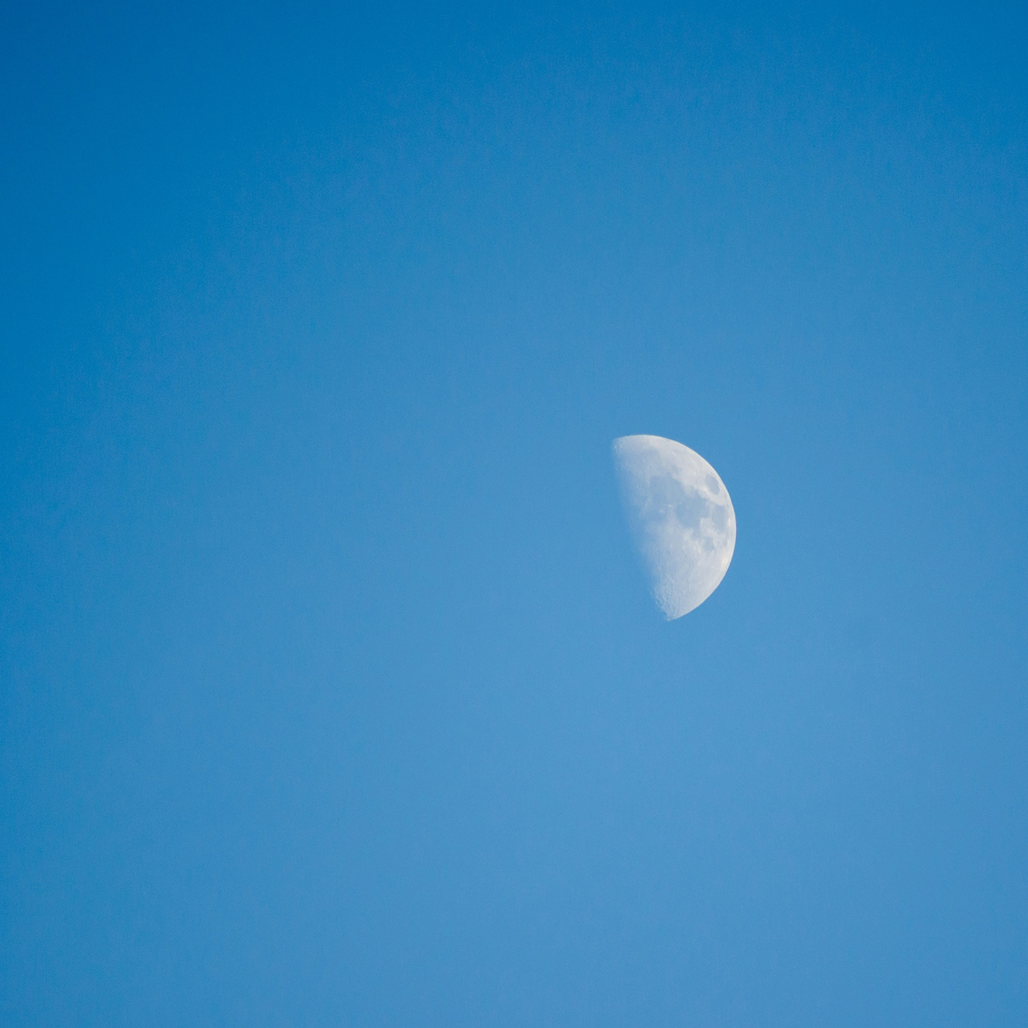 Link to project gallery