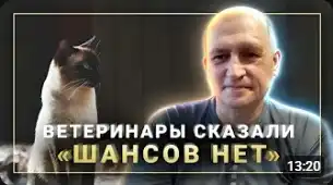 Отзыв видео интервью о Синтезите