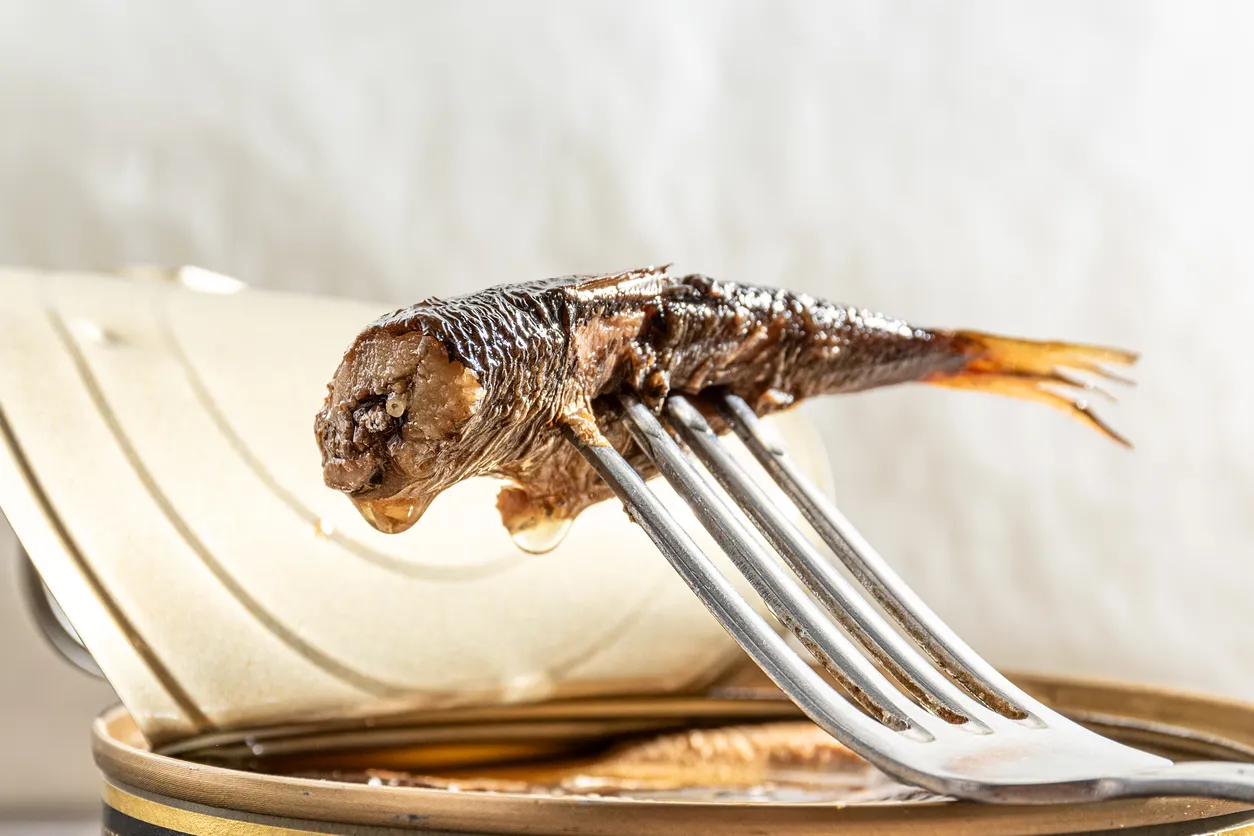 Eine saftige Sardine aus der Konserve, appetitlich auf eine Gabel aufgespießt, die mit ihrem Glanz und ihrer Zartheit den perfekten Genuss verspricht.