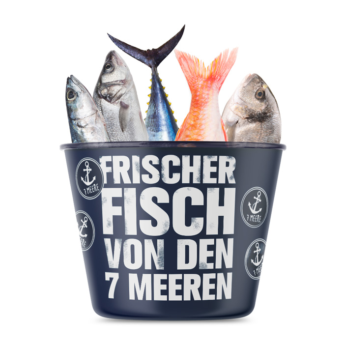 n einem Eimer voller frischem Fisch liegen ein Thunfisch, eine Dorade, eine Makrele, ein Wolfsbarsch und ein Rotbarsch. Die verschiedenen Farben und Formen der Fische sorgen für einen lebendigen, frischen Anblick.
