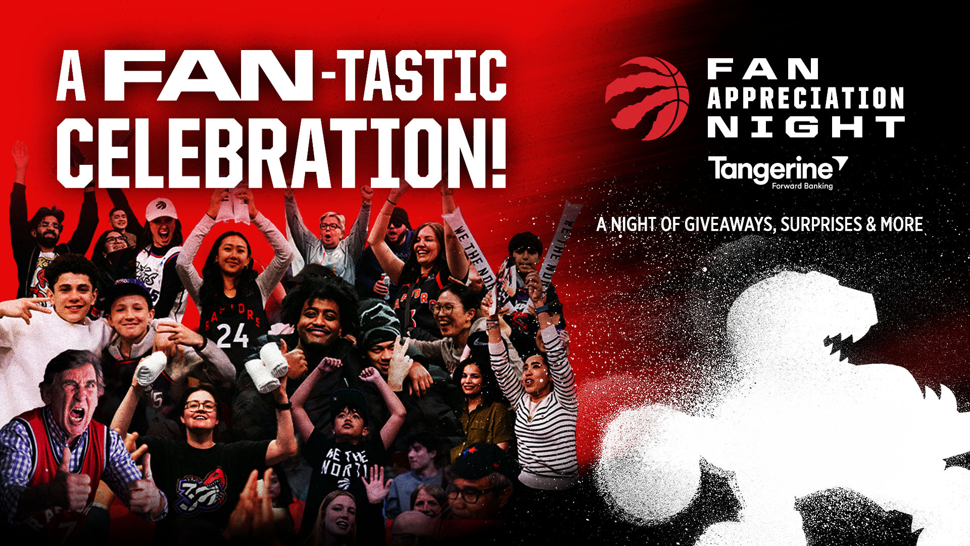 Raptors Fan Appreciation Game