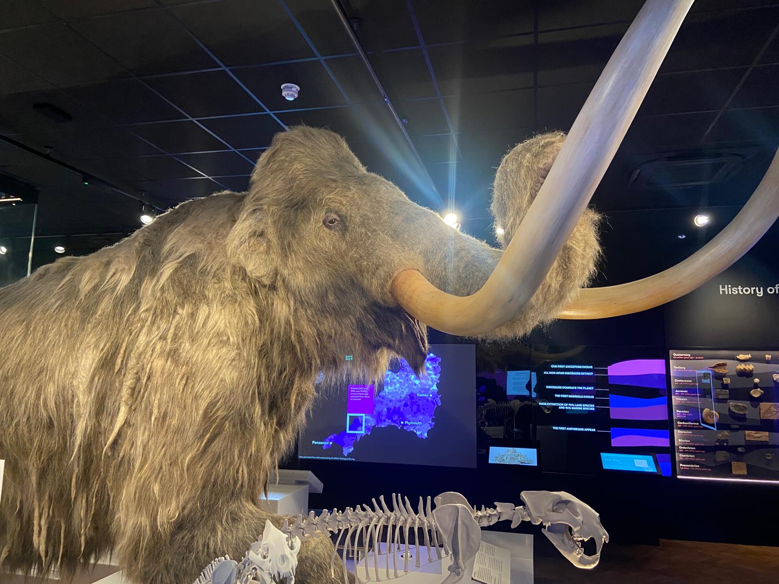 Visit a museum or library