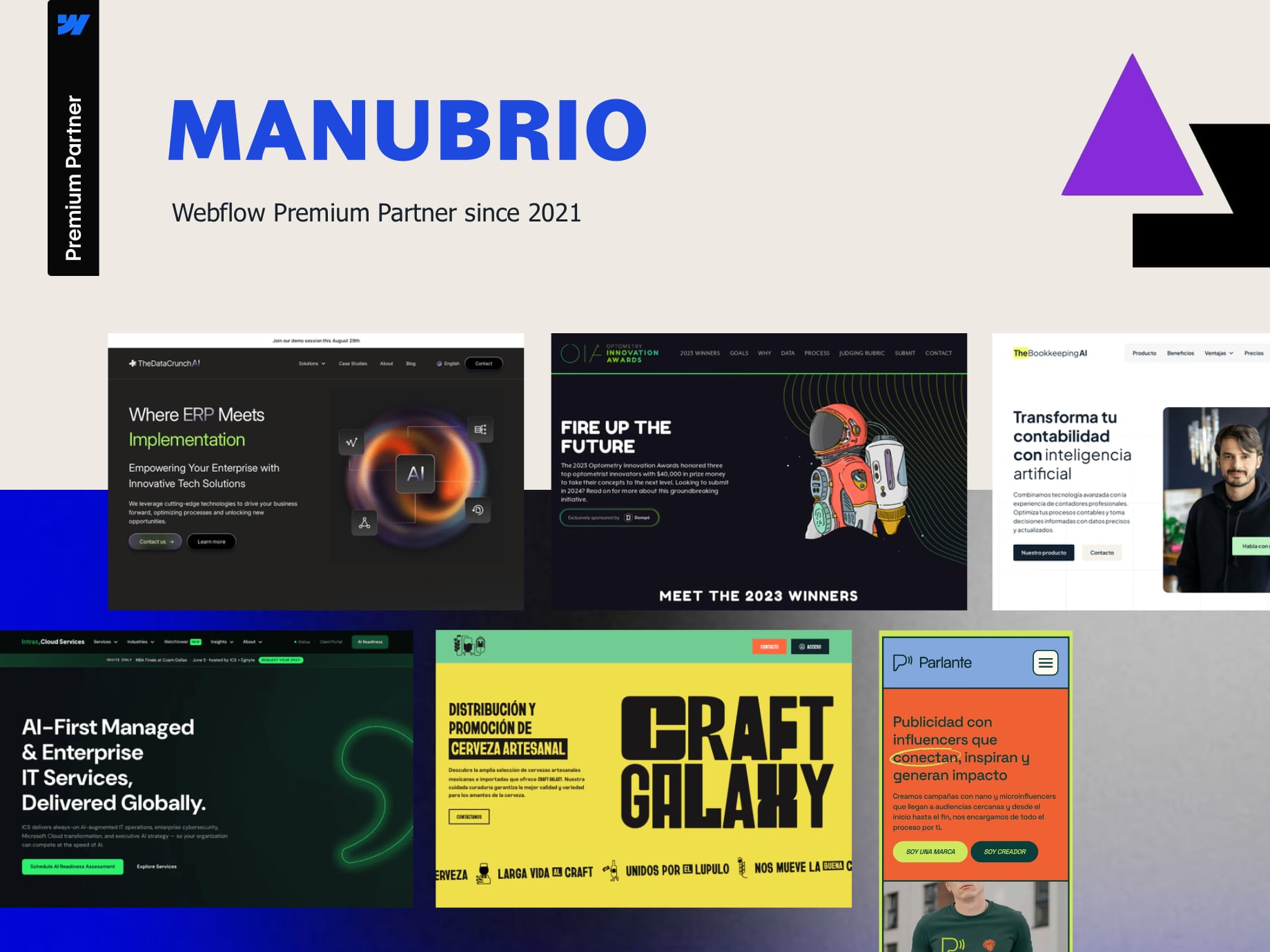 MANUBRIO