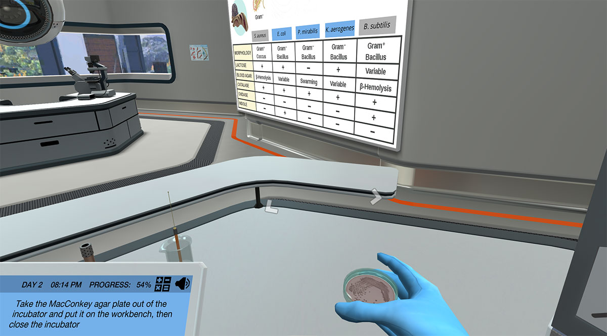 Experimental Design & Scientific Investigation
