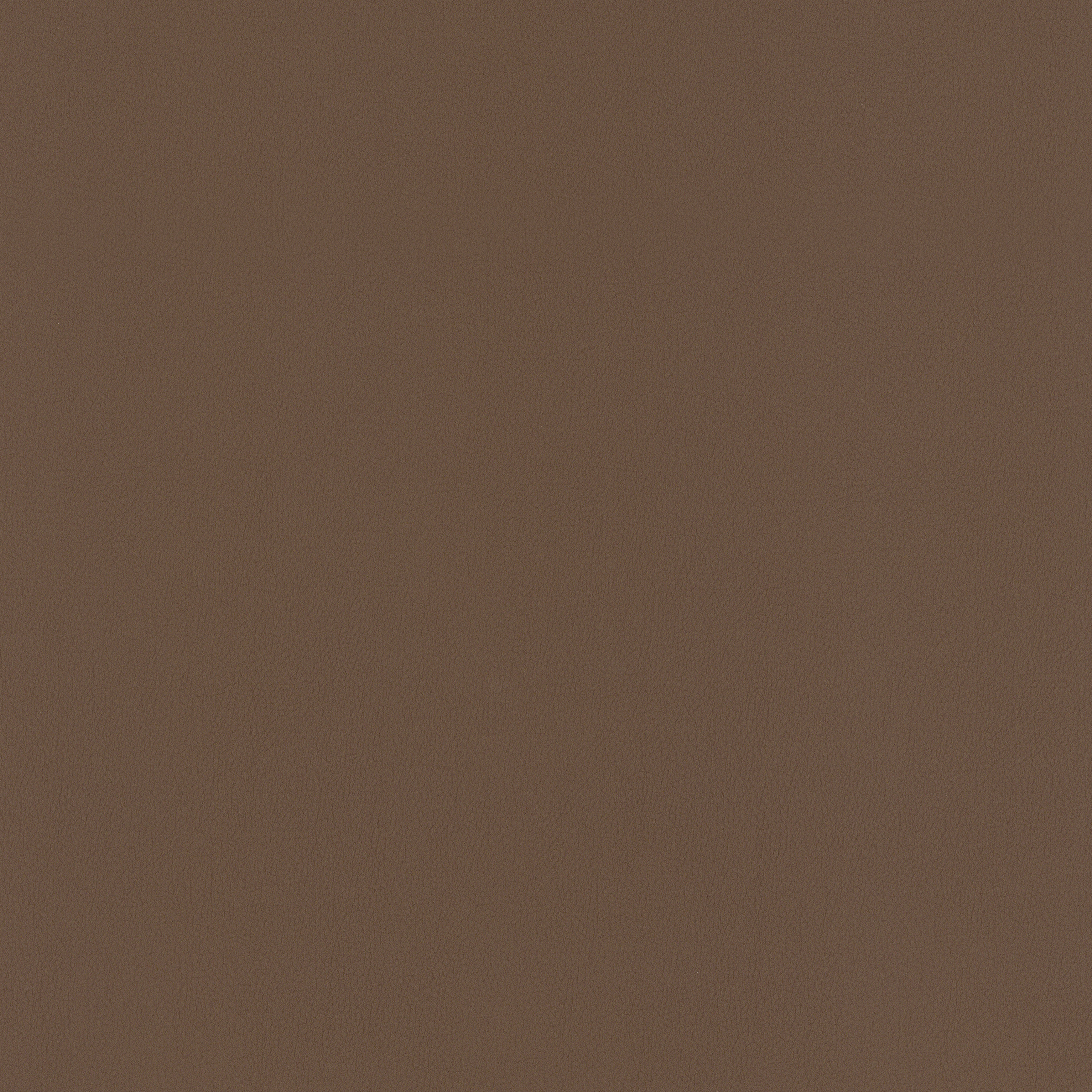 Mocha