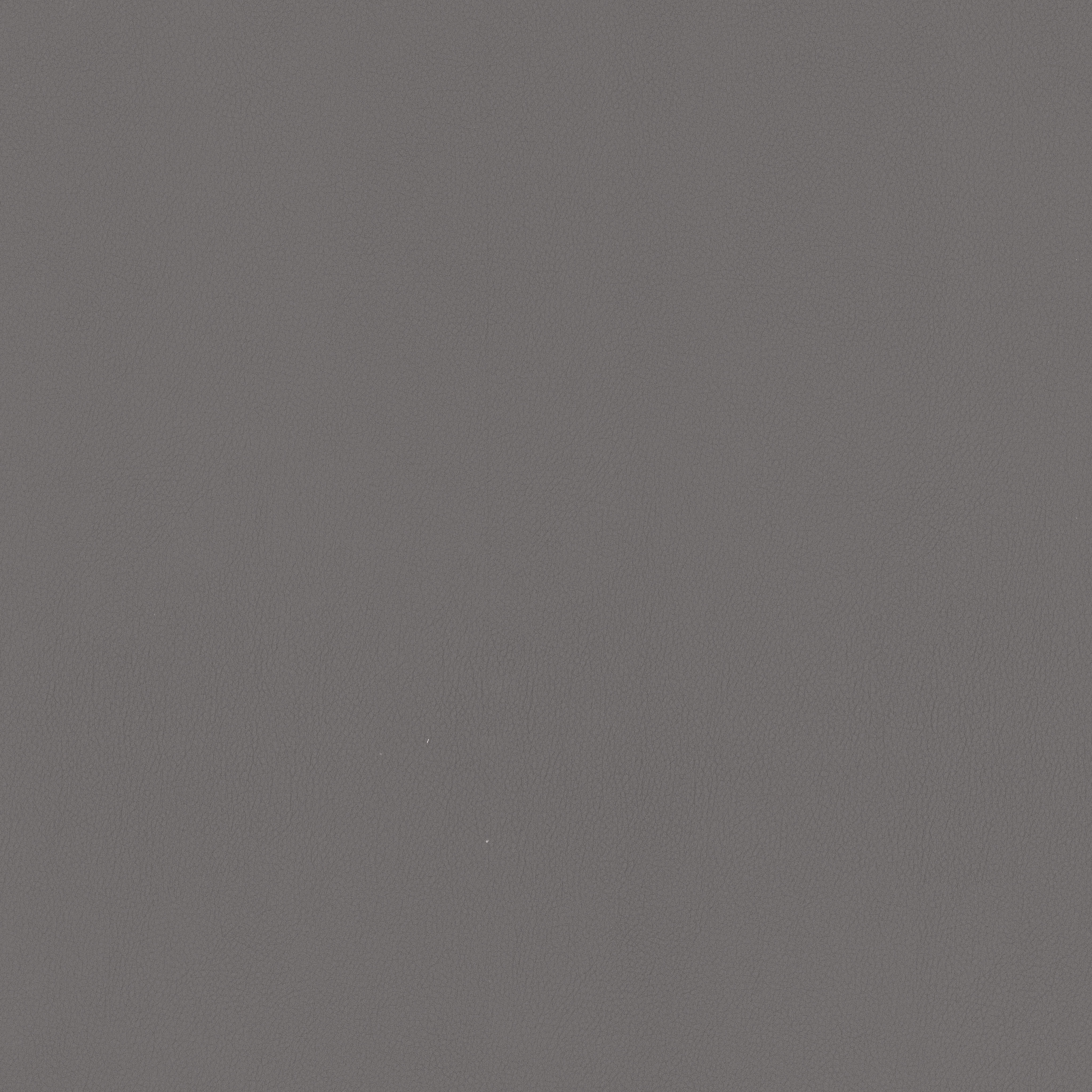 Slate Grey