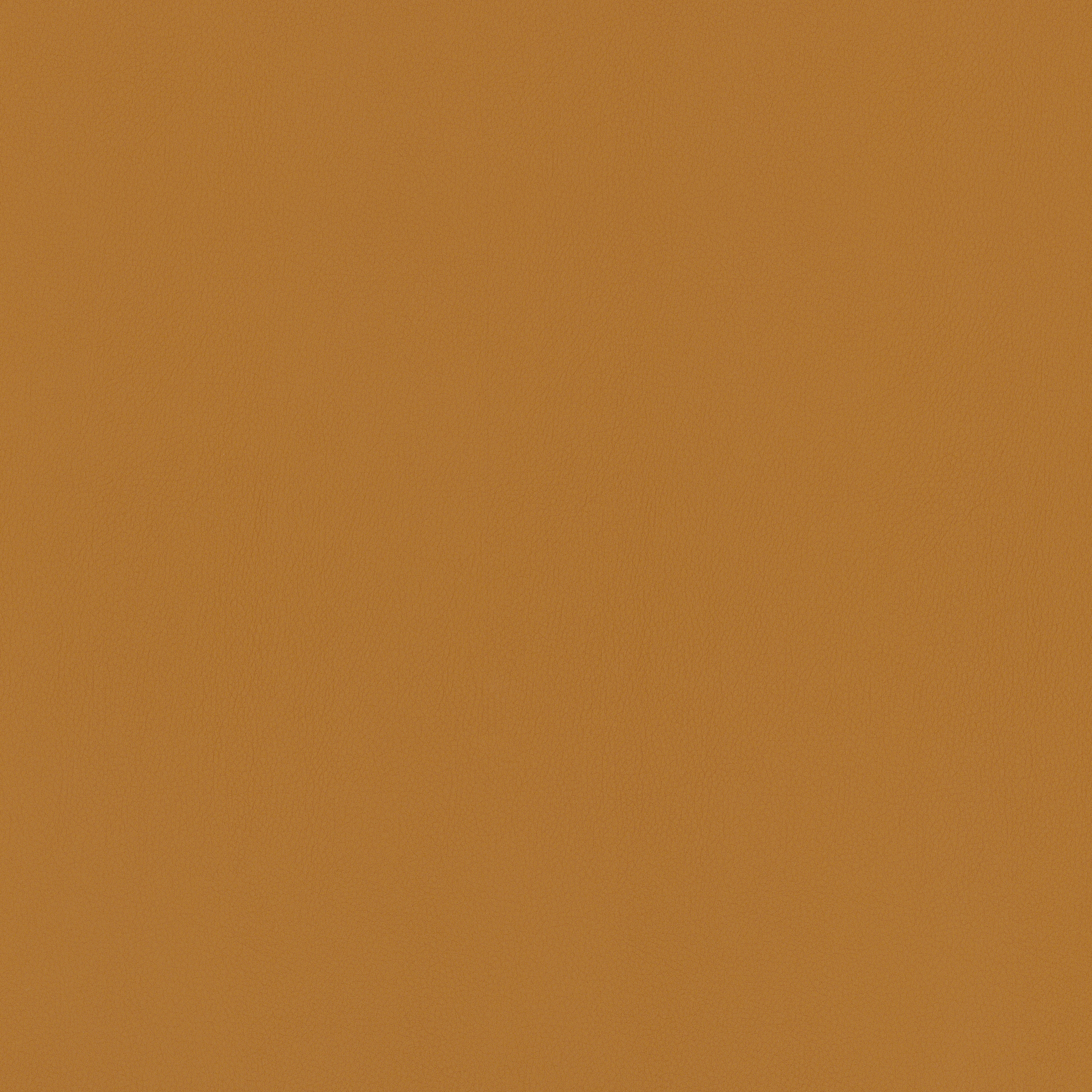 Spice
