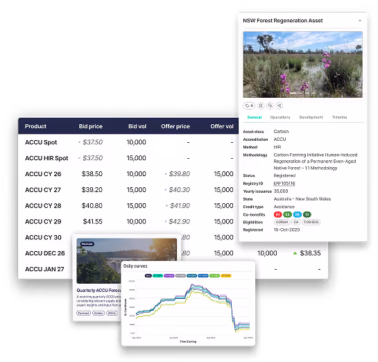 An overview of the CORE Markets Project Marketplace outlining Project descriptions, available products and risk factors. 