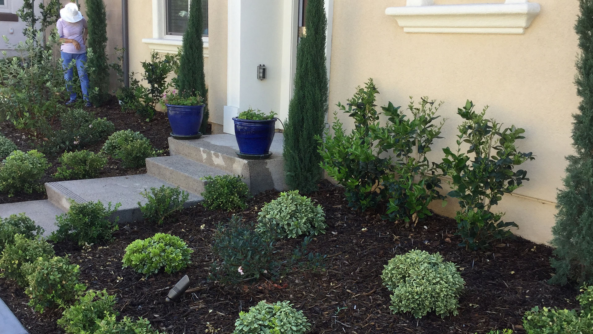 Garden Design and Installation