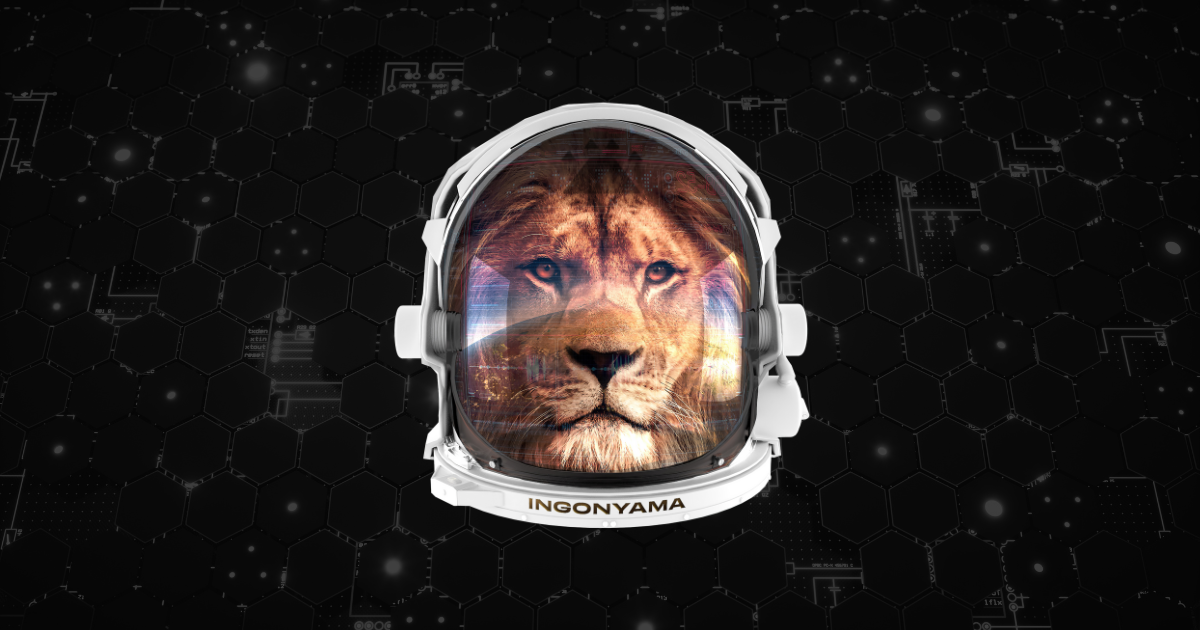 Ingonyama (Zero-Knowledge Proof Hardware Acceleration Platform)