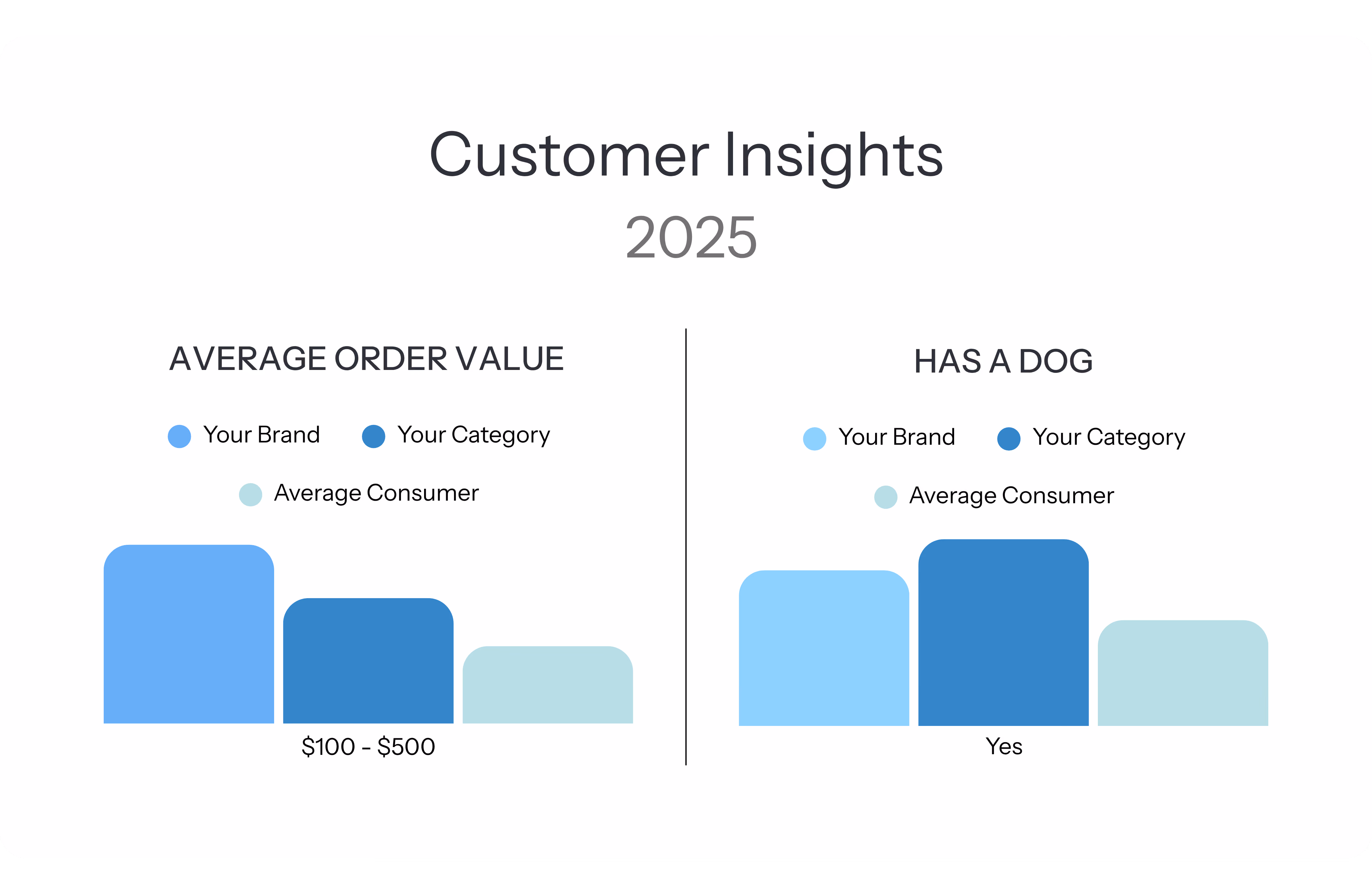 Customer Insights 2025