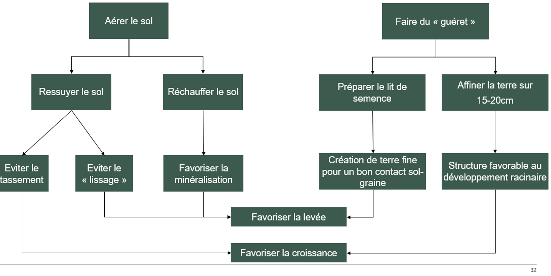 Diversité d’externalités positives en faveur du travail du sol (Source : externe)