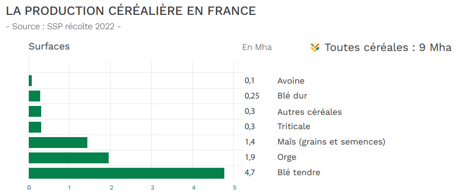 La production céréalière en France