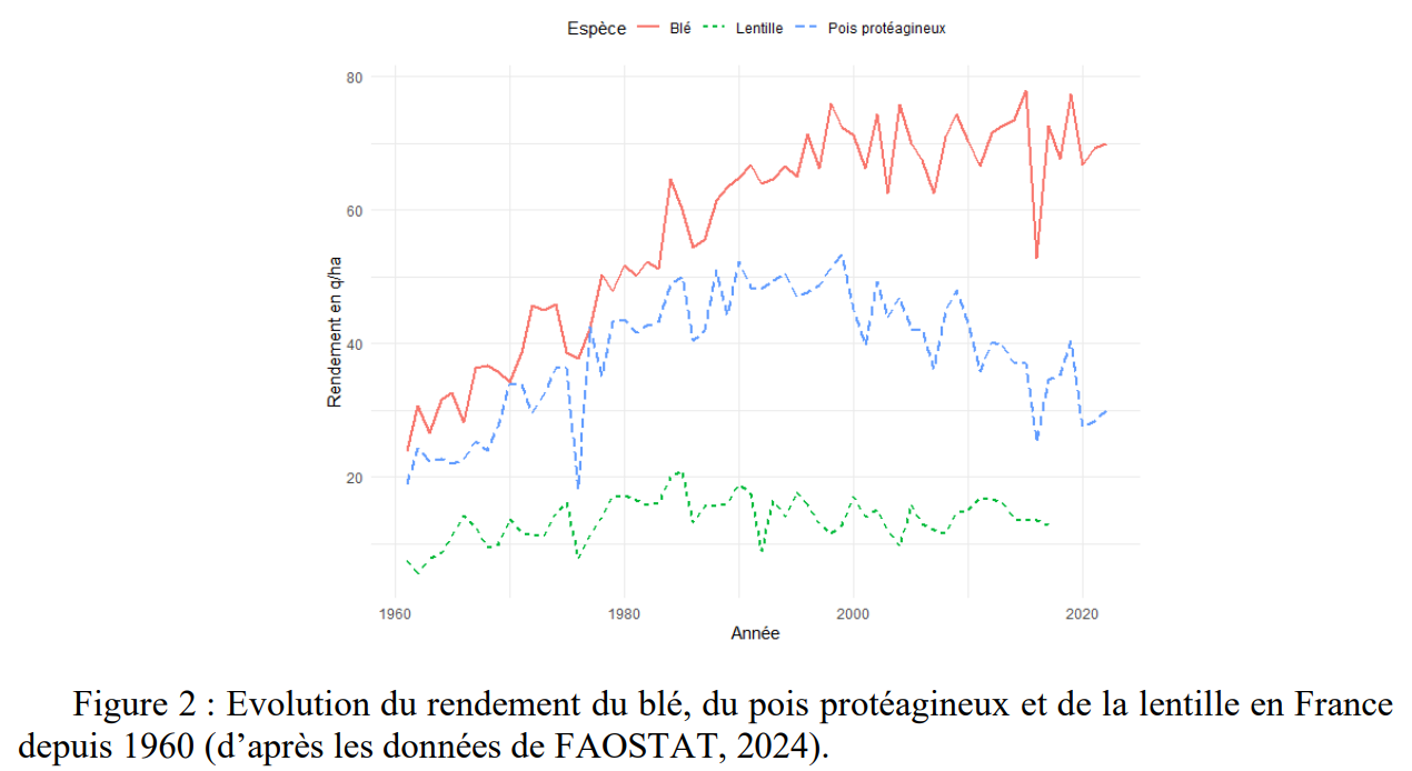 Evolution du rendement du blé, du pois protéagineux et de la lentille en France depuis 1960 (d’après les données de FAOSTAT, 2024).
