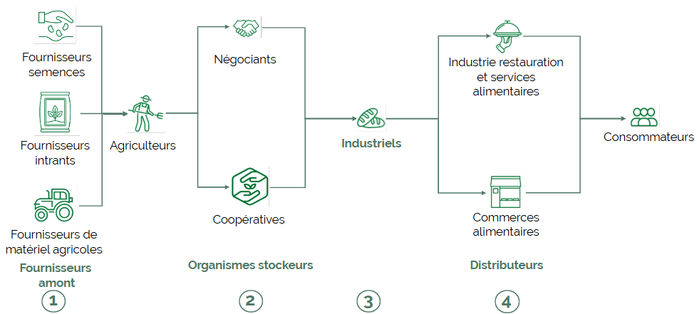 Les différents maillons des chaînes de valeur agroalimentaires (©ReSoil, 2025)